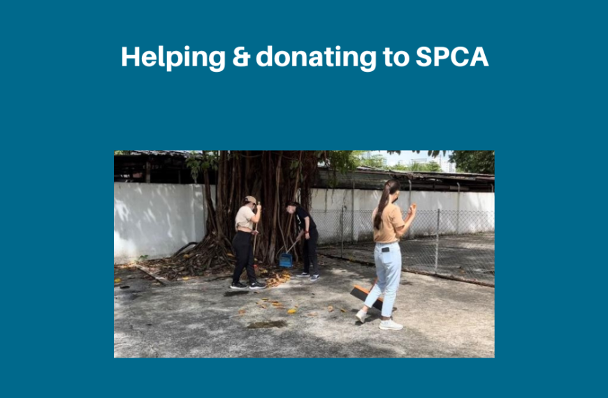 Helping & donating to SPCA