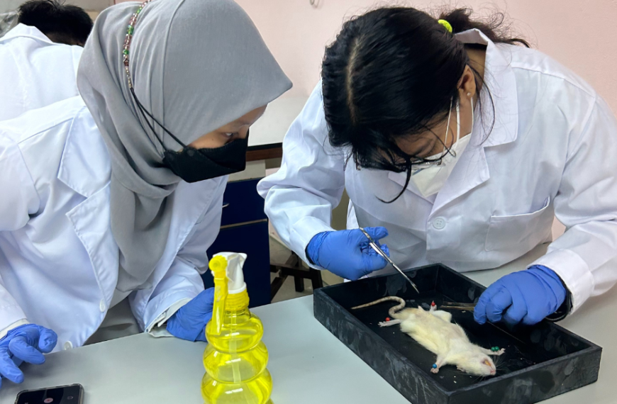 Exploring human diseases through rats in medical lab studies