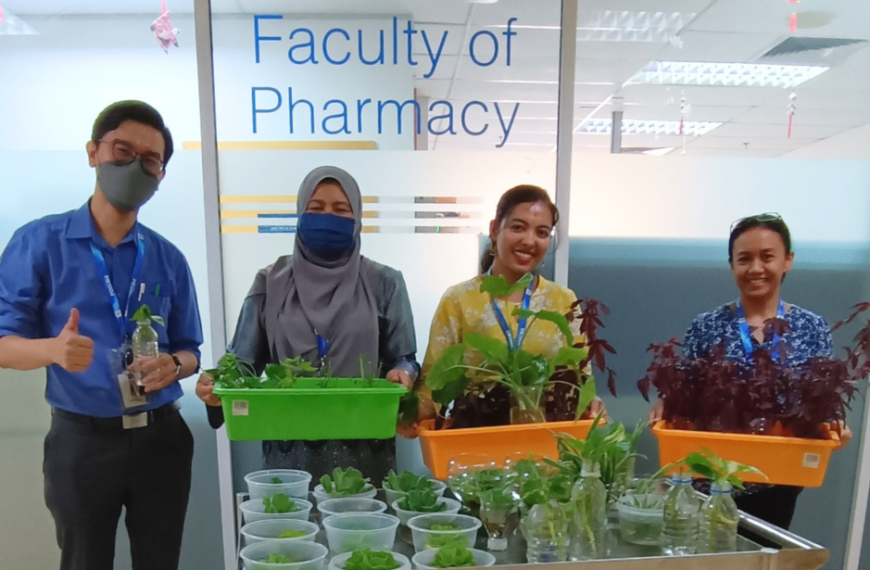 Sustainable SEGi: Embracing climate action with plants!